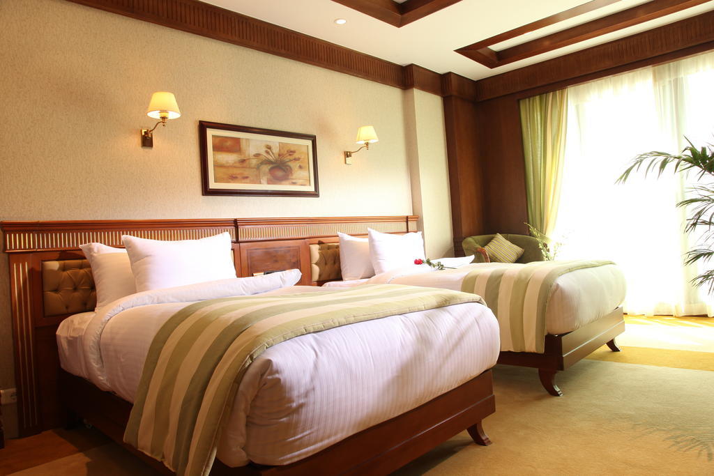 Helnan Landmark Hotel カイロ 部屋 写真
